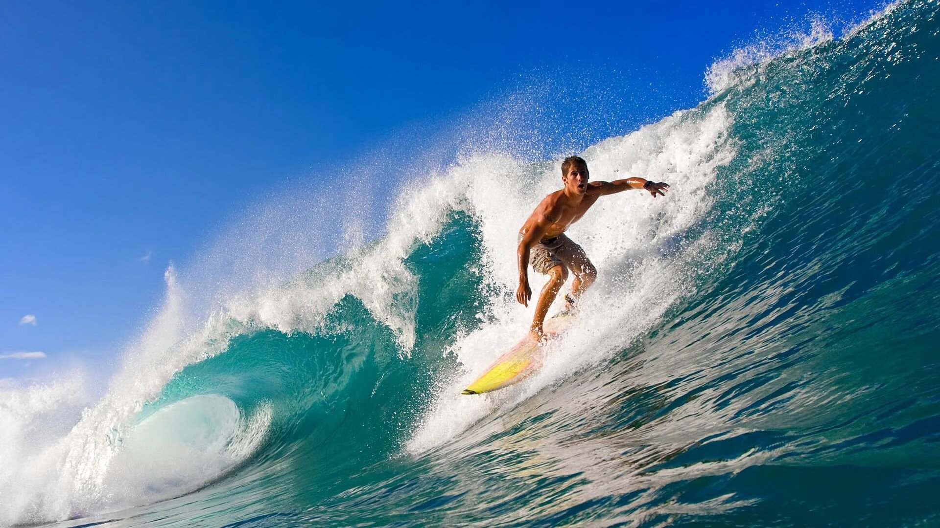 东北虎掀翻十一冠王！莫兰特致命5秒让杜锋沉默，CBA今夜为他疯狂